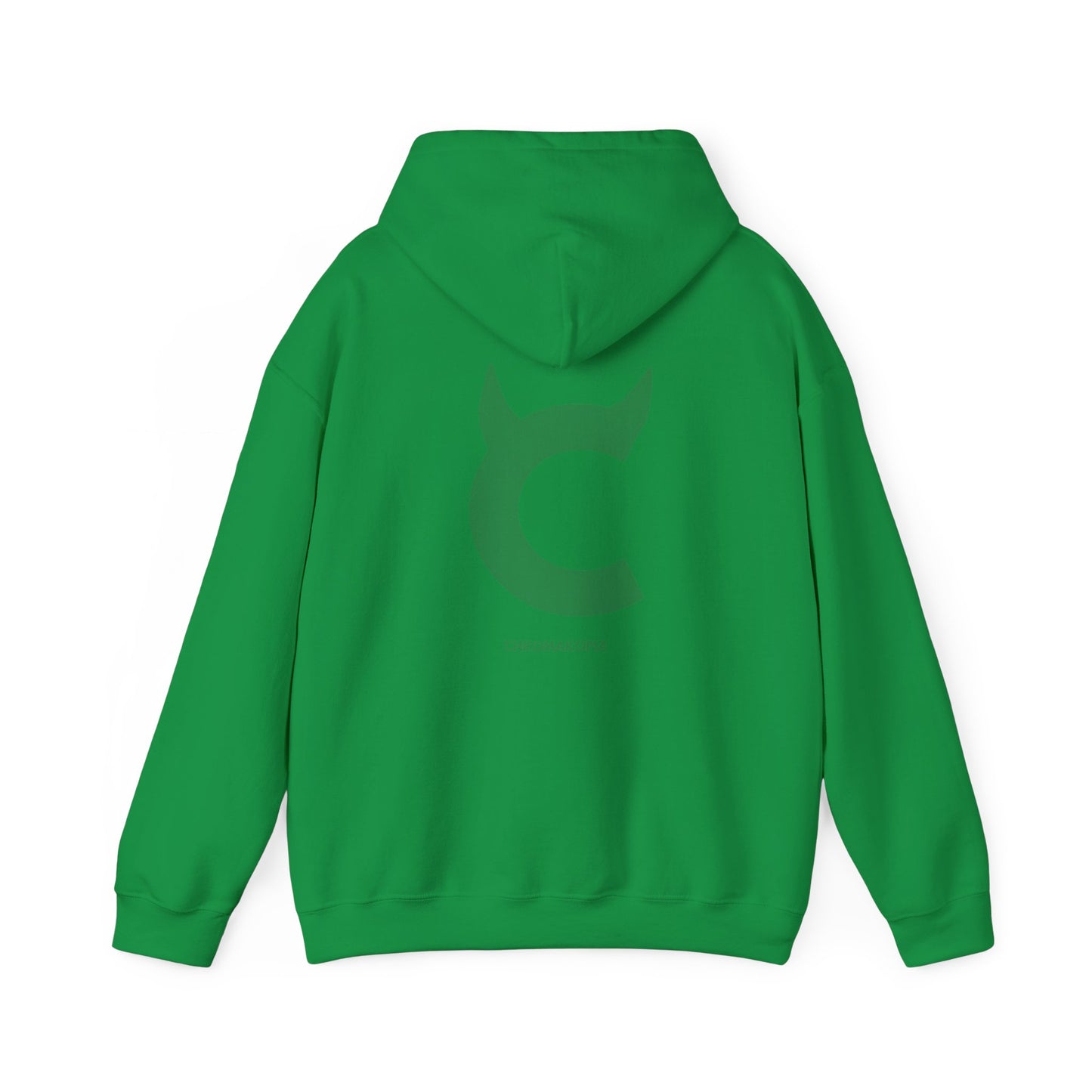 CHROMAKOPIA GREEN HOODIE