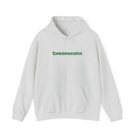 CHROMAKOPIA GREY HOODIE