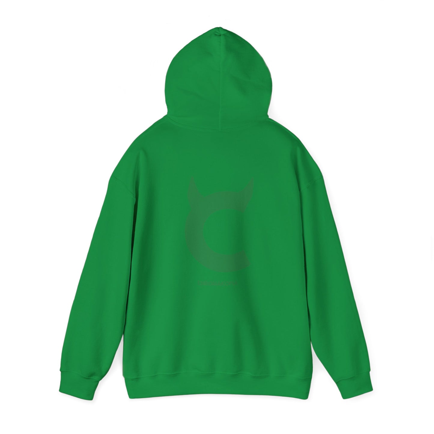 CHROMAKOPIA GREEN ON GREEN HOODIE